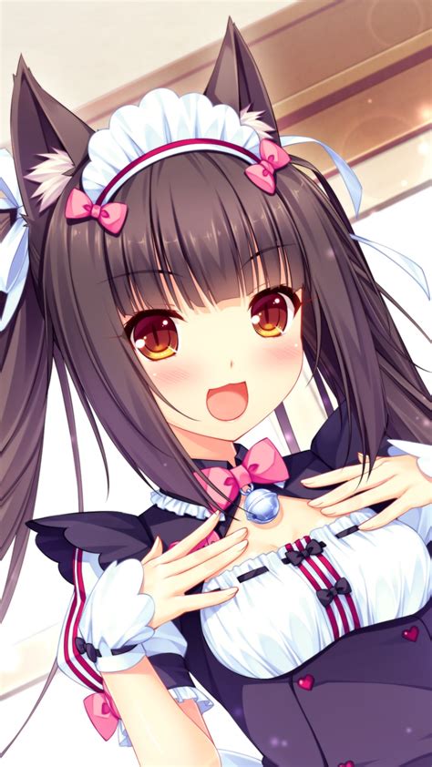 nekopara|NEKOPARA